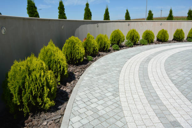 Best Driveway Paving Contractor  in Chestertown, MD